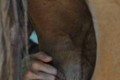 DSC_2549